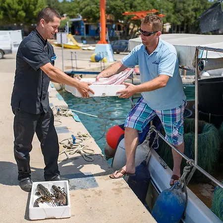 Maistra Vestar Mobile Homes